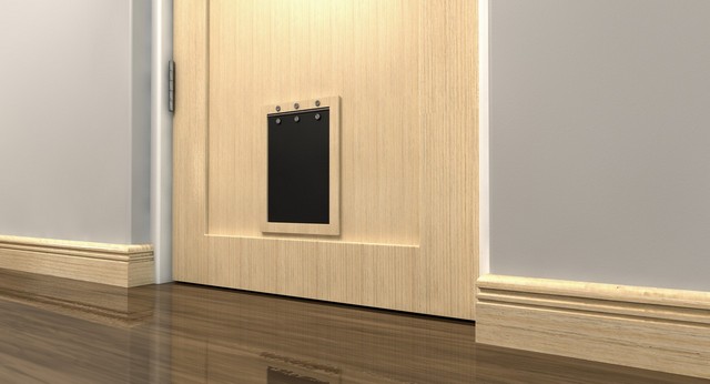 Cat Flap Installation Totteridge, Whetstone, N20