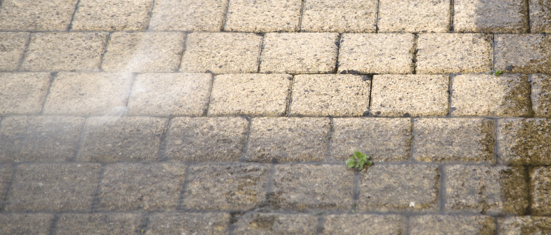 flagging and patios N20